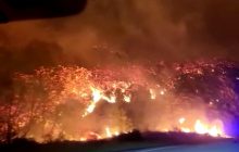 Іспанію охопили масштабні пожежі: влада заявила про паліїв-терористів (відео)