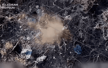 Прикордонники показали, як за допомогою дрона роздають росіянам квитки на концерт Кобзона