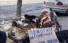 Зграя собак на Подолі покусала дитину: власниця тварин відома багатьом (відео)