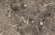 Намагалися захопити позиції: окупанти отримали "на горіхи" від українських воїнів (відео)