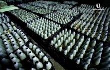 "Укроборонпром" передав ЗСУ танкові та артснаряди, вироблені за кордоном (фото)