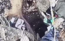 Розуму вистачило: солдат РФ застрибнув в окоп з гранатою і "розірвався" (відео)