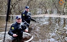 Последствия паводка в Украине: подтоплены десятки тысяч гектаров сельскохозяйственных угодий