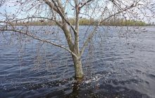 Паводки в Україні: синоптики розказали, де сьогодні буде небезпечно (карта)