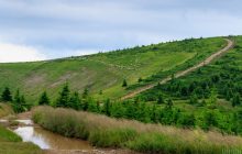 Голови двох закарпатських громад хочуть виступити замовниками курорту "Свидовець"