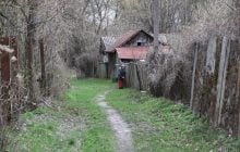 Самоселы в Чернобыльской зоне рассказали, как пережили российскую оккупацию