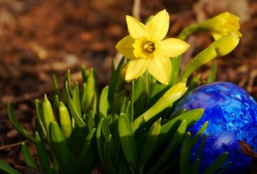 Синоптик рассказала, какая погода будет в Украине на Пасху