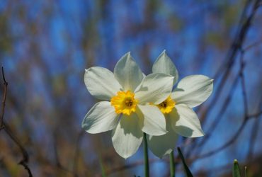 Укргідрометцентр повідомив, яка погода буде у квітні