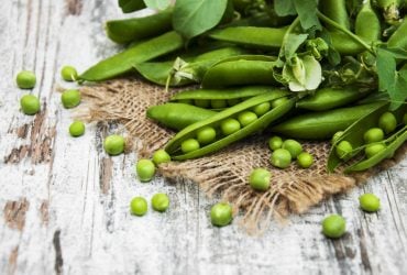 Огородникам на заметку: как правильно сеять горох и когда это делать весной