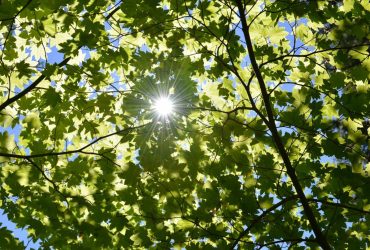 Репетиція літа: тиждень порадує українців розкішним теплом до +27° (карта)