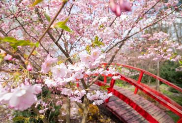 Сегодня в Киеве будет один из самых теплых дней недели, впереди - похолодание