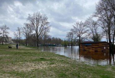 В ГСЧС сообщили об улучшении ситуации с паводками в Украине (видео)