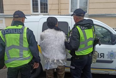 На Львовщине нетрезвая женщина совершила ДТП и напала с мачете на полицейских