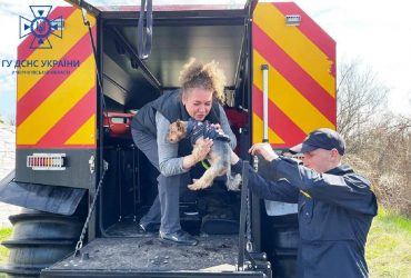 На Черниговщине, которая страдает от наводнения, ГСЧС спасла еще одного хвостатого (фото)