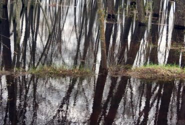 Паводок у Києві: яка ситуація з підтопленнями у місті зараз
