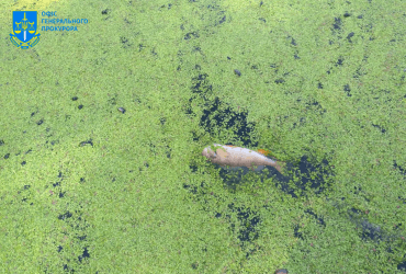 В Україні вперше судитимуть людей за вчинення екоциду (фото)