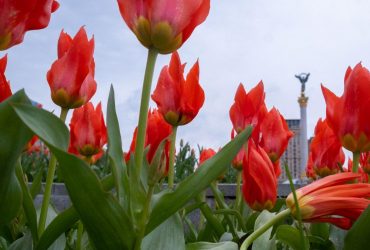 Сегодня в Киеве станет еще теплее, температура подскочит до +20°