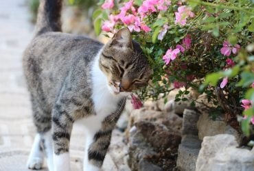 У вівторок на українців чекає один з найтепліших днів тижня (карта)