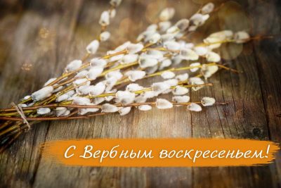 Картинки с Вербным воскресеньем (70 открыток): скачать бесплатно