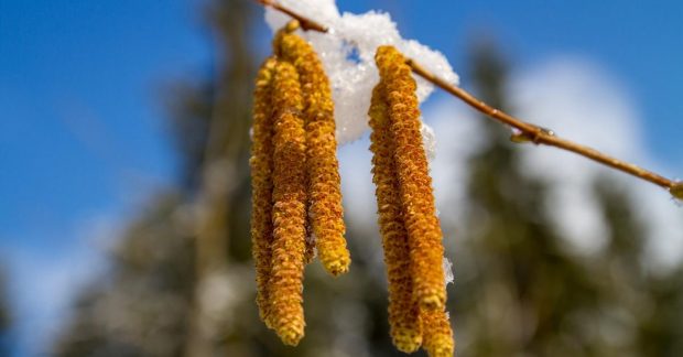 синоптик назвала точну дату потепління в Україні