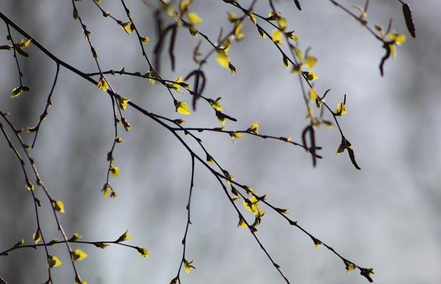 7 квітня: народні звичаї і прикмети погоди, що не можна робити