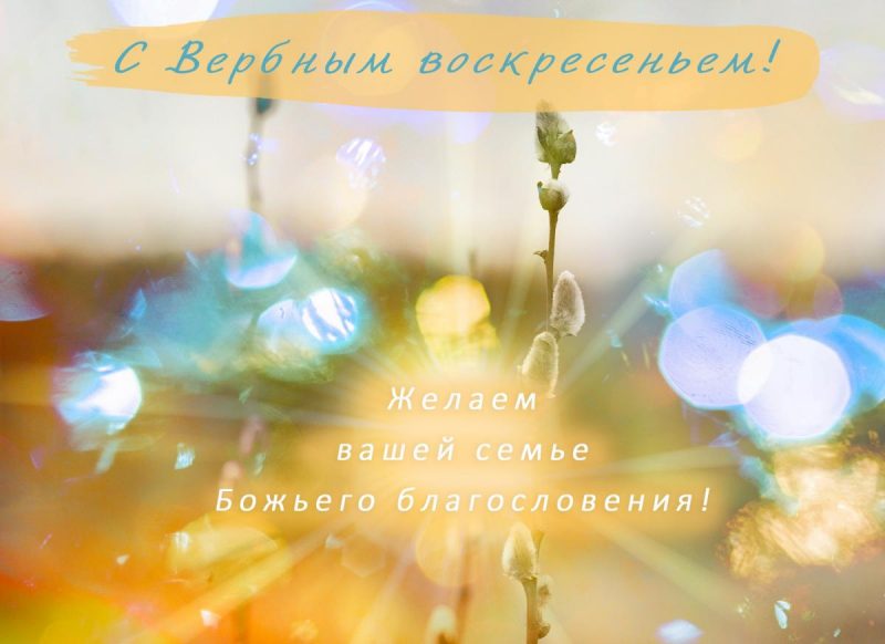 Поздравления с Вербным воскресеньем в стихах, прозе и картинках | РБК Украина