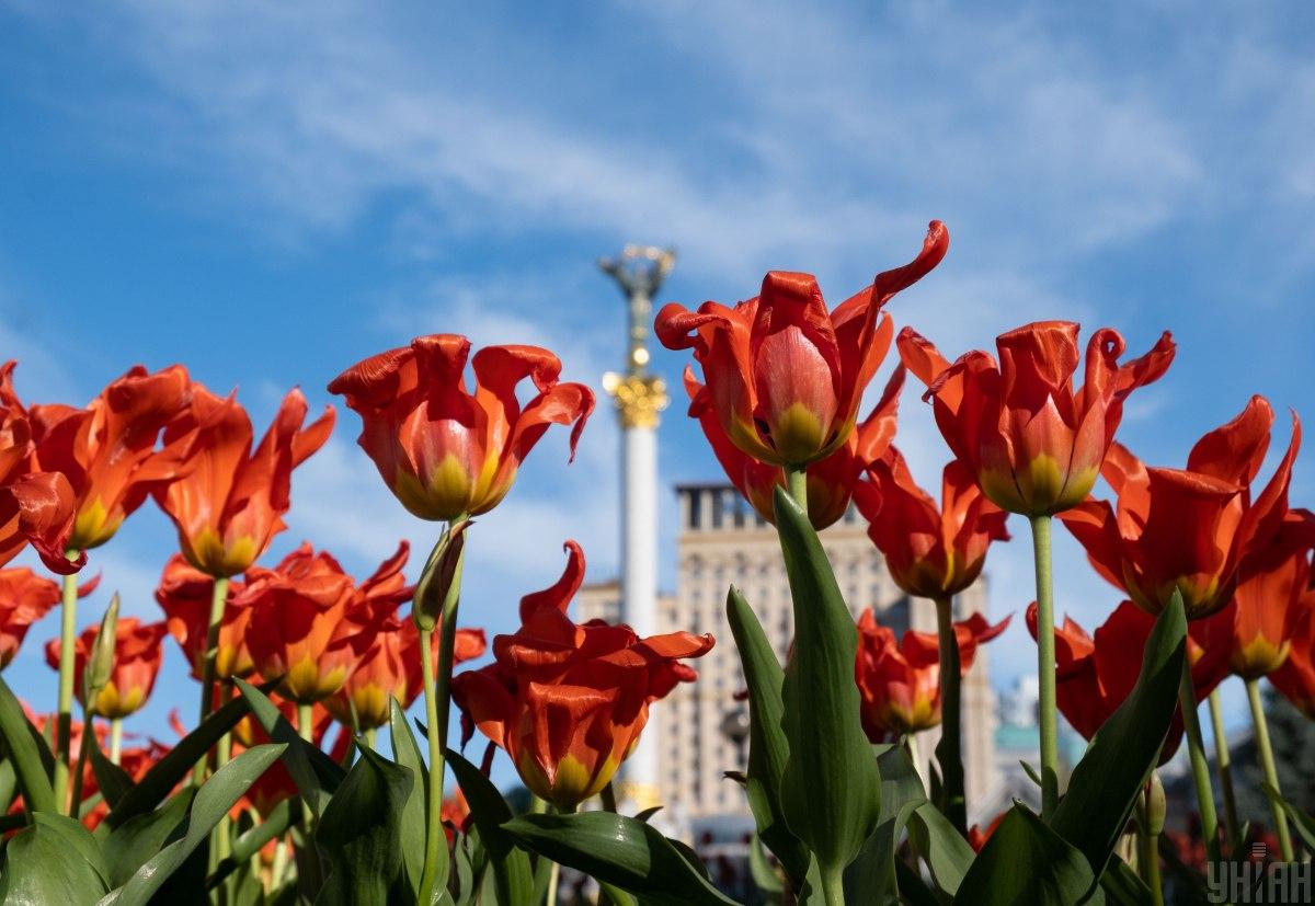 4 травня у Києві очікується невелике похолодання / фото УНІАН 4 травня у Києві очікується невелике похолодання / фото УНІАН