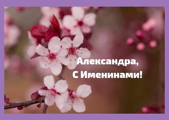 Картинки с Днем ангела Александры / фото klike.net Картинки с Днем ангела Александры / фото klike.net