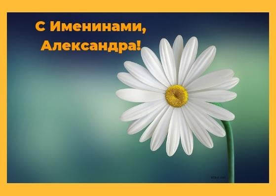 Картинки с Днем ангела Александры / фото klike.net Картинки с Днем ангела Александры / фото klike.net