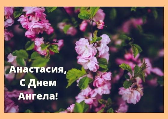 С именинами Анастасии 10 мая / фото klike.net С именинами Анастасии 10 мая / фото klike.net
