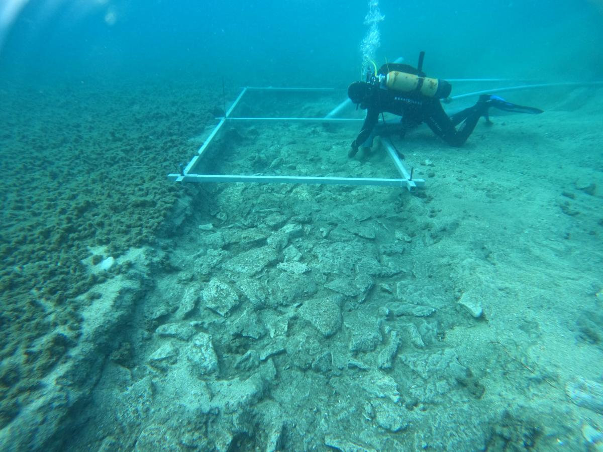 Дорога на дне Средиземного моря прекрасно сохранилась / фото University of Zadar Дорога на дне Средиземного моря прекрасно сохранилась / фото University of Zadar