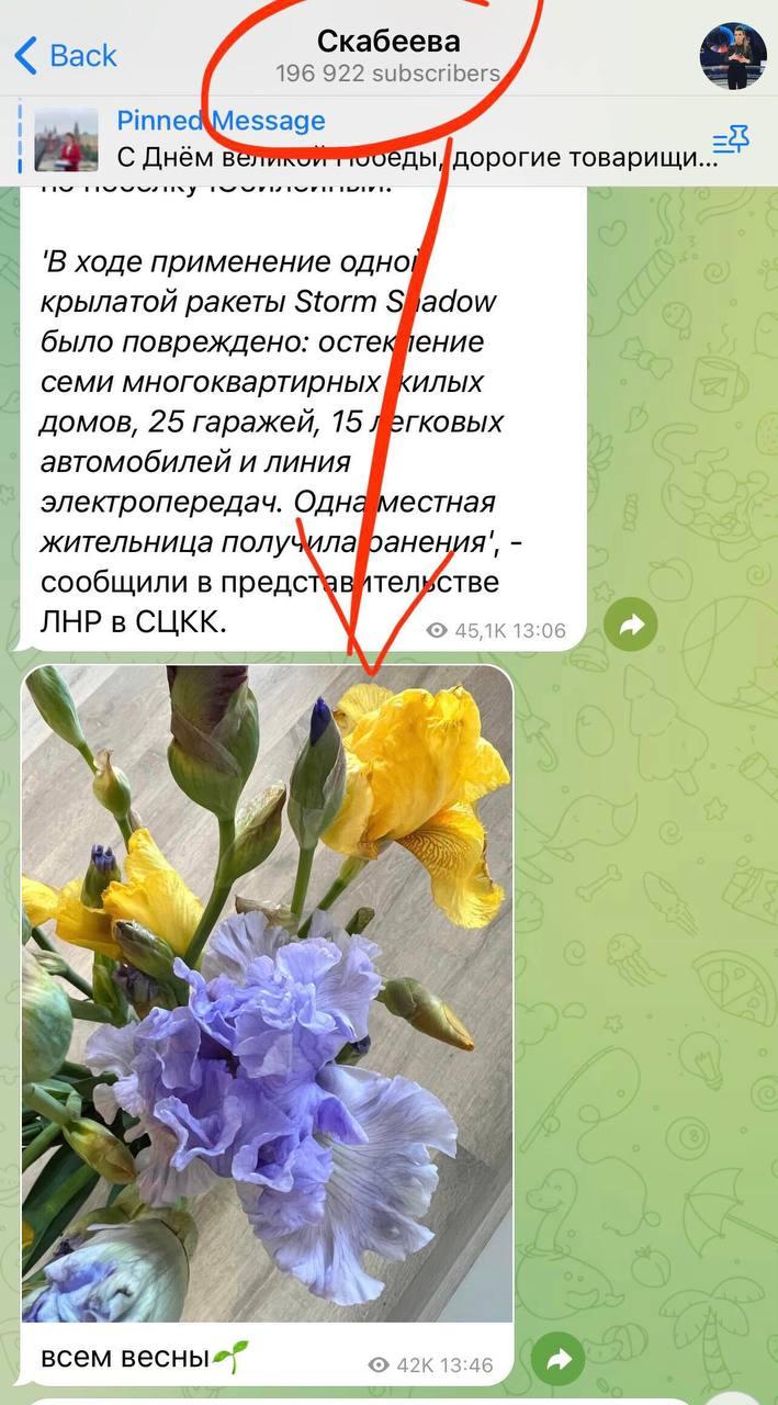 Скабеева спалилась по полной программе, показав 'неправильные' цветы (фото) Скабеева спалилась по полной программе, показав 'неправильные' цветы (фото)