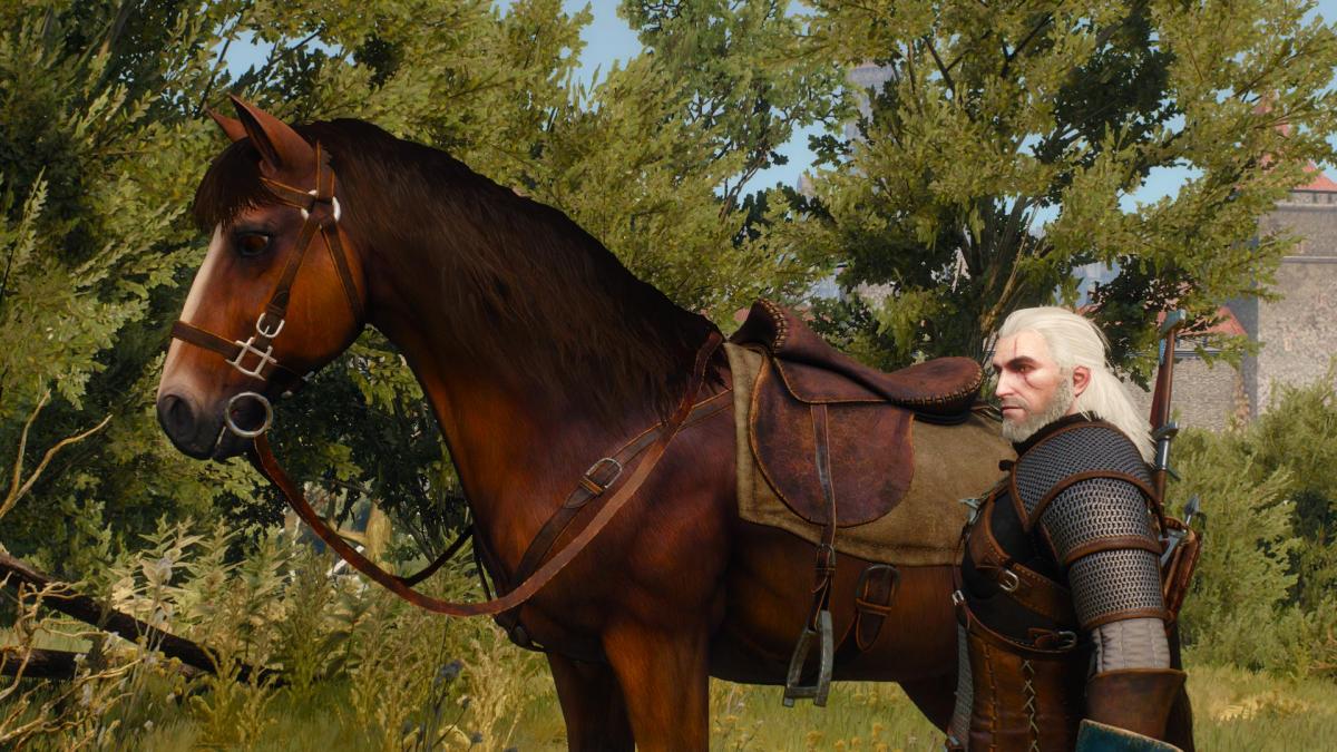 The Witcher 3: Wild Hunt / фото Nerd Reactor The Witcher 3: Wild Hunt / фото Nerd Reactor