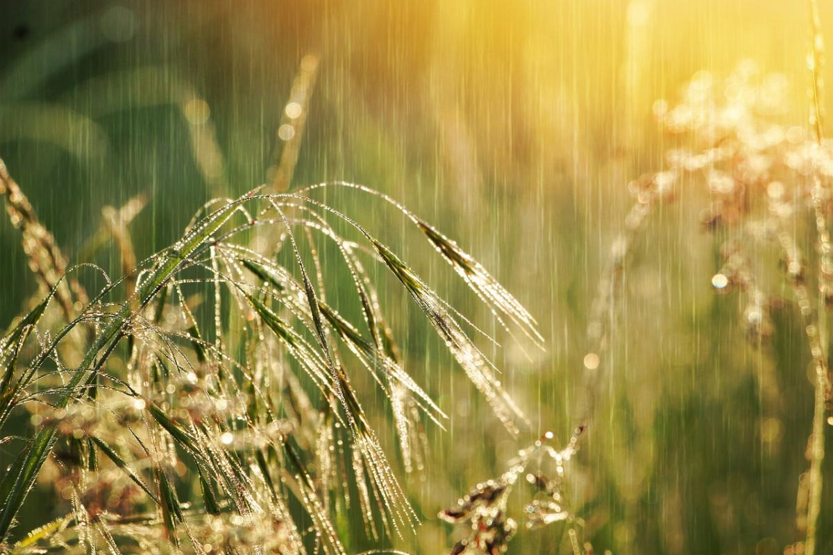 На выходных в ряде областей Украины пройдут дожди с грозами / фото Gosia K/Pixabay На выходных в ряде областей Украины пройдут дожди с грозами / фото Gosia K/Pixabay
