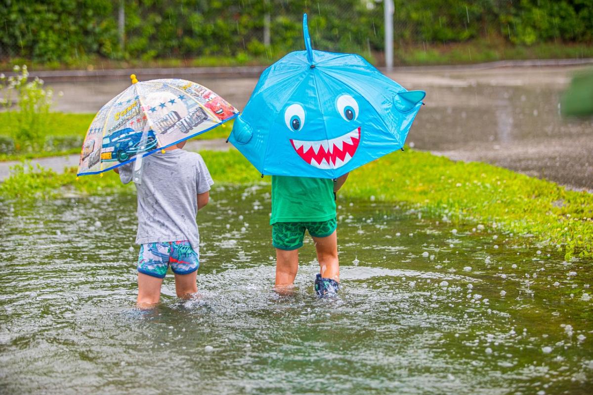 С середны недели жара в Украие начнет ослабевать / фото Hermann Kollinger/Pixabay