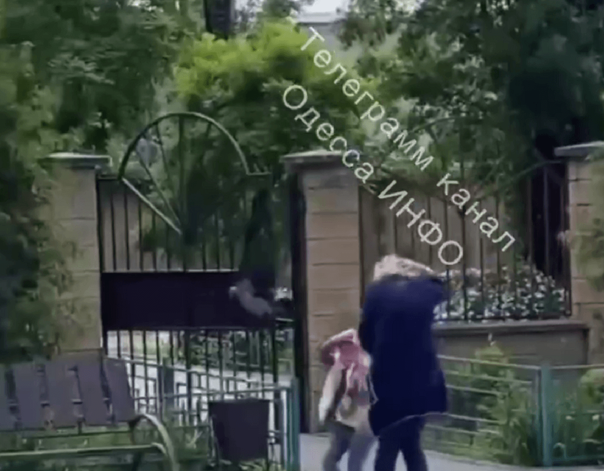 Вороны атакуют: в Одессе несколько человек пострадали из-за нападения птиц / скриншот Вороны атакуют: в Одессе несколько человек пострадали из-за нападения птиц / скриншот