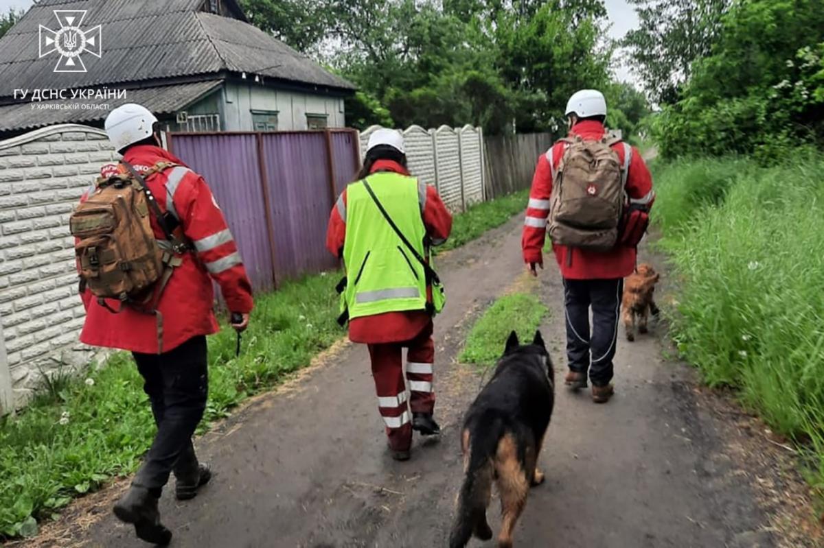 Сейчас продолжается поисковая операция, в которой задействовано более 300 человек, включая местных жителей, которые помогают искать ребенка.