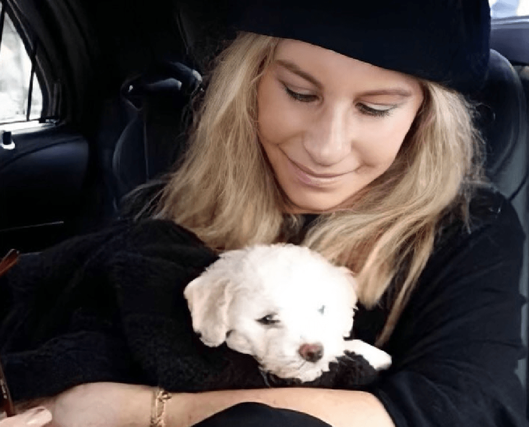 Барбра Стрейзанд показала подарунок з України / фото instagram.com/barbrastreisand Барбра Стрейзанд показала подарунок з України / фото instagram.com/barbrastreisand