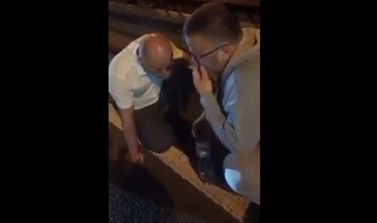 У Києві п'яний суддя на смерть збив нацгвардійця / скріншот У Києві п'яний суддя на смерть збив нацгвардійця / скріншот