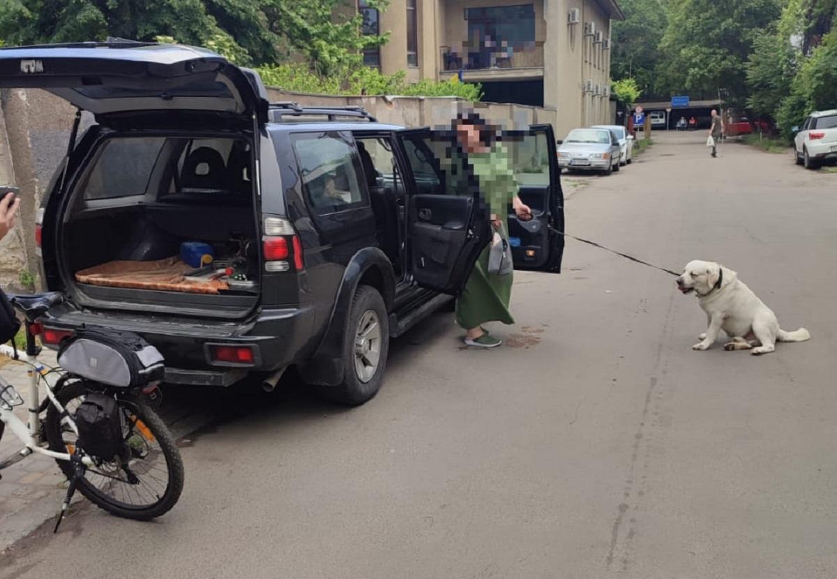 Поліцейські врятували пса / фото Патрульна поліція Одеської області
