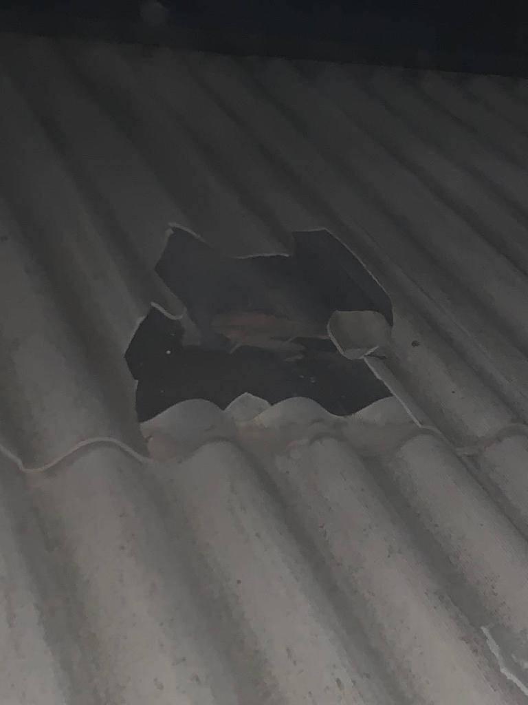 фото КМВА фото КМВА