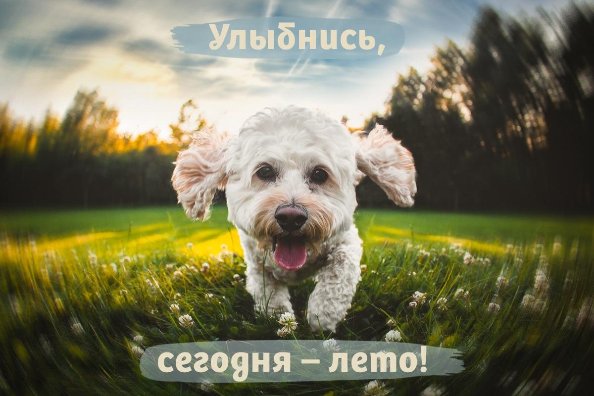 Happy first day of summer - pictures / UNIAN Happy first day of summer - pictures / UNIAN