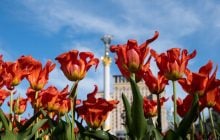 Конец потеплению: завтра температура в Киеве упадет на 5 градусов