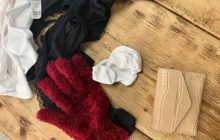 Кот-клептоман - горе в семье: женщине приходится постоянно краснеть за свое животное (фото)