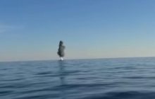 Успели уничтожить: в Одесской области в прибрежную зону вынесло штормом морскую мину (видео)