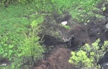 Тягнули мертвяка вдвох: ЗСУ влаштували "вогняний дощ" по окупантам (відео)