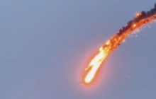 Повітряні сили ЗСУ про збиття у Києві безпілотника Bayraktar: "Пташку шкода"