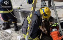 У Дніпрі каченят врятували з глибоченної пастки: у ДСНС показали милі фото