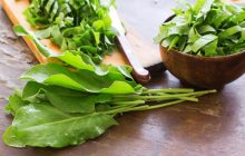 Будет как находка: 5 простых рецептов, как заготовить щавель на зиму