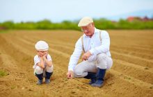 15 травня: народні звичаї і традиції, що заборонено робити сьогодні